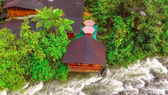 Mindo Garden Lodge And Wildlife Reserve ภายนอก รูปภาพ