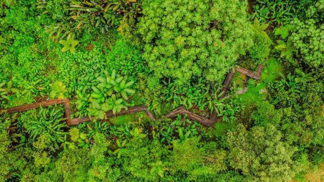 Mindo Garden Lodge And Wildlife Reserve ภายนอก รูปภาพ
