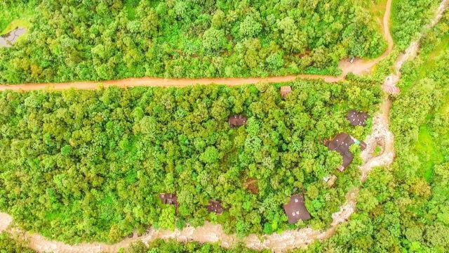 Mindo Garden Lodge And Wildlife Reserve ภายนอก รูปภาพ