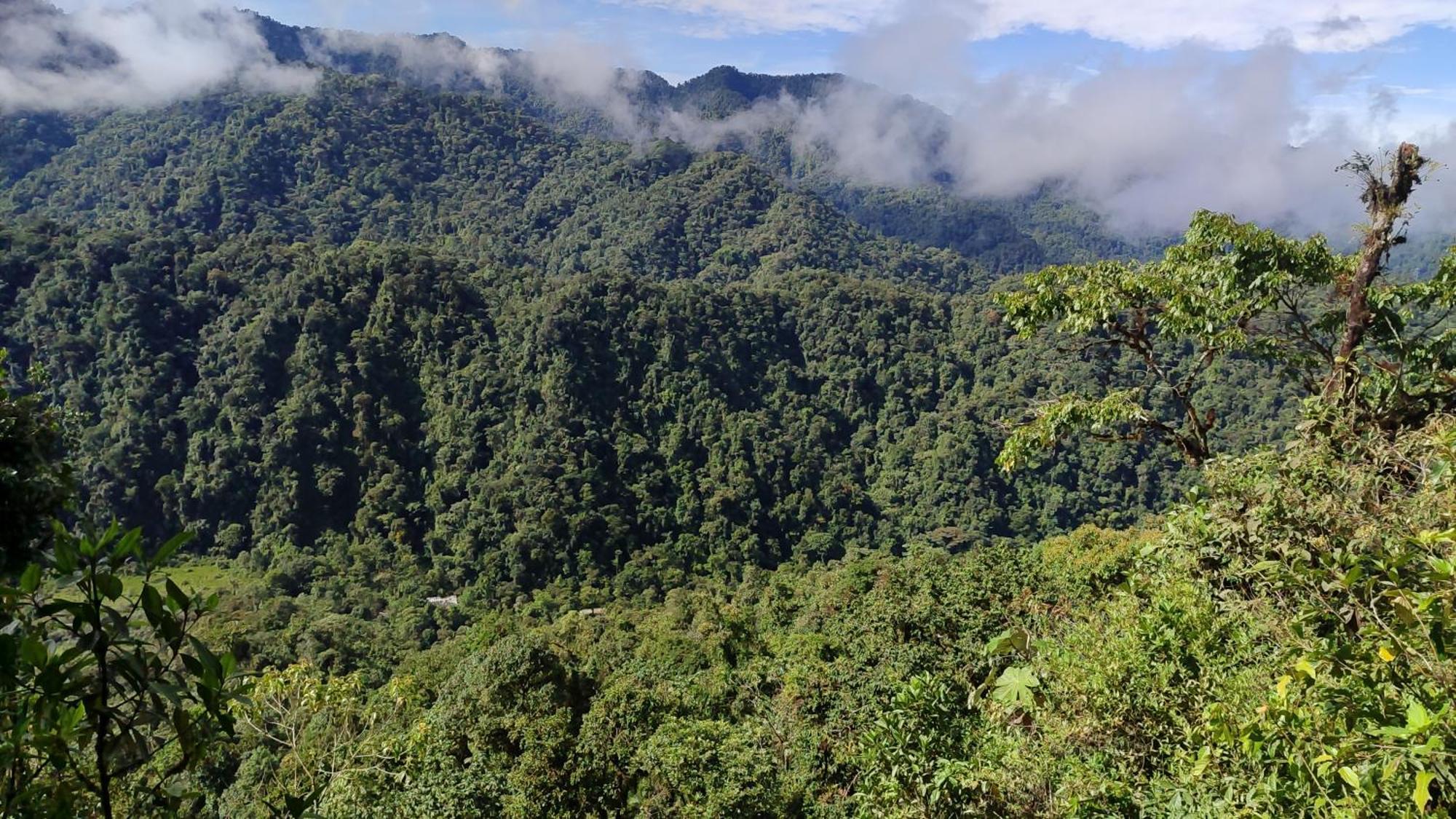 Mindo Garden Lodge And Wildlife Reserve ภายนอก รูปภาพ