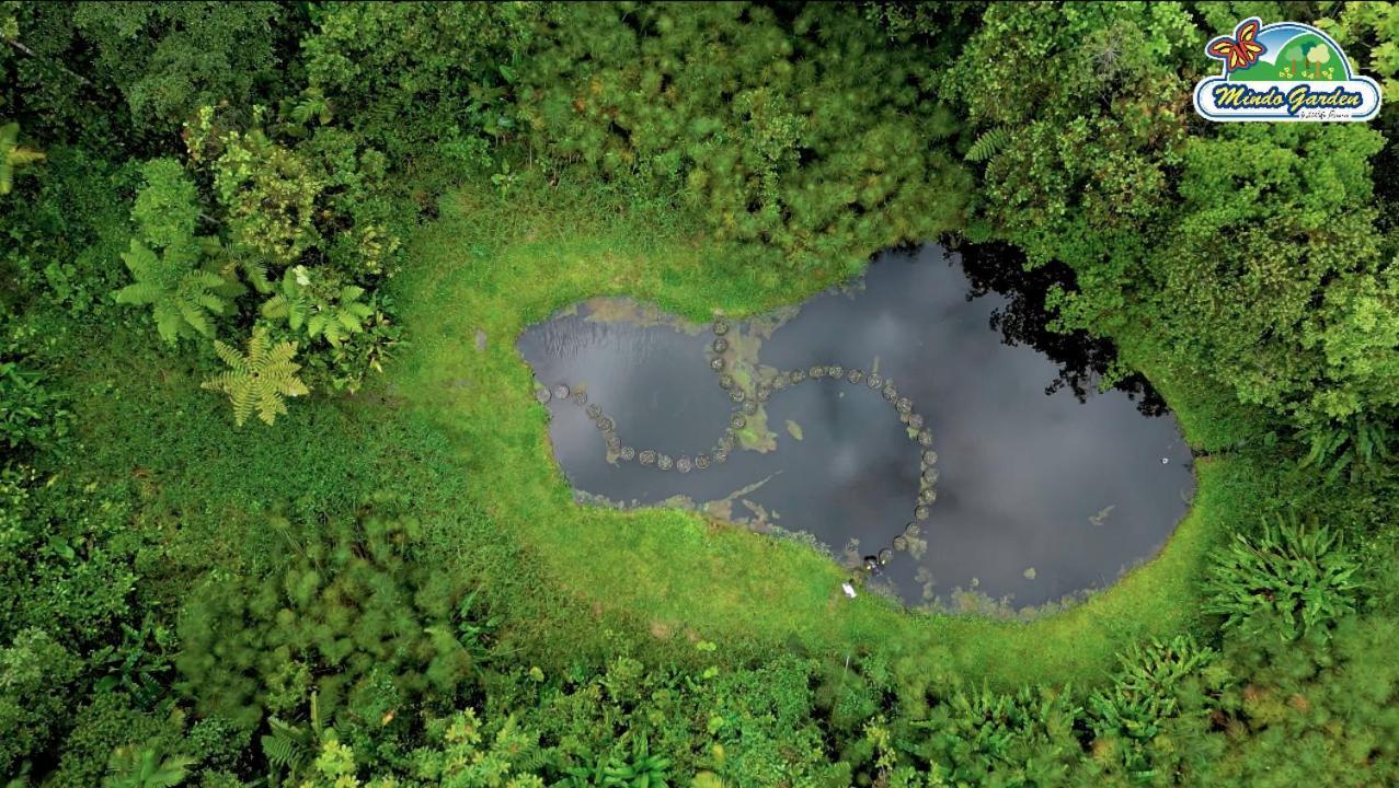 Mindo Garden Lodge And Wildlife Reserve ภายนอก รูปภาพ