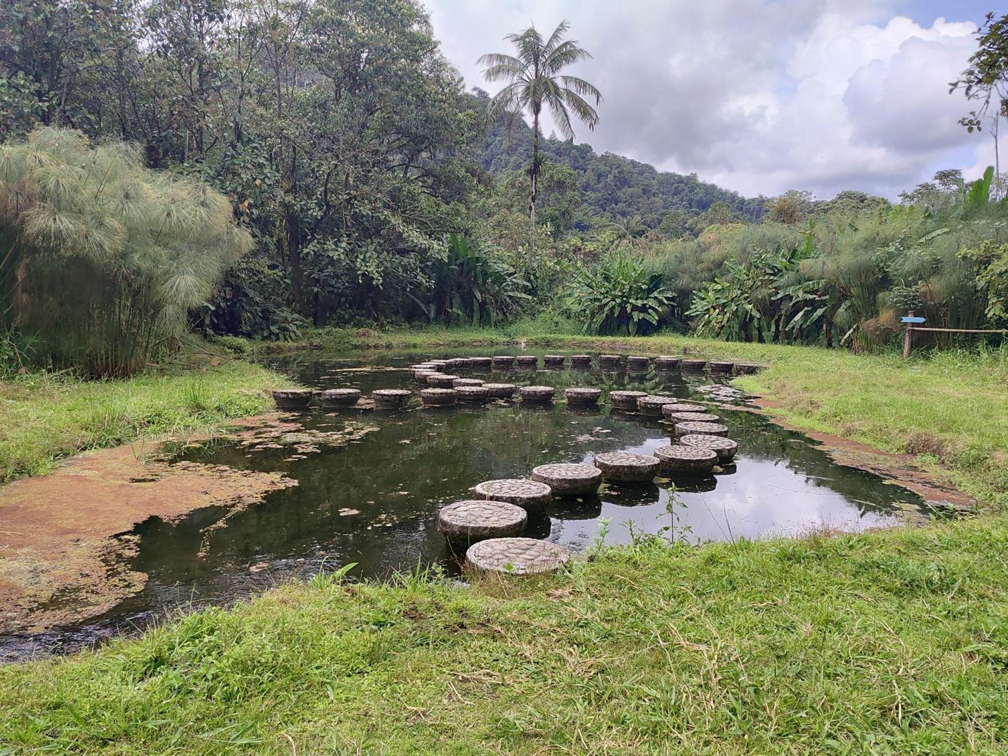 Mindo Garden Lodge And Wildlife Reserve ภายนอก รูปภาพ