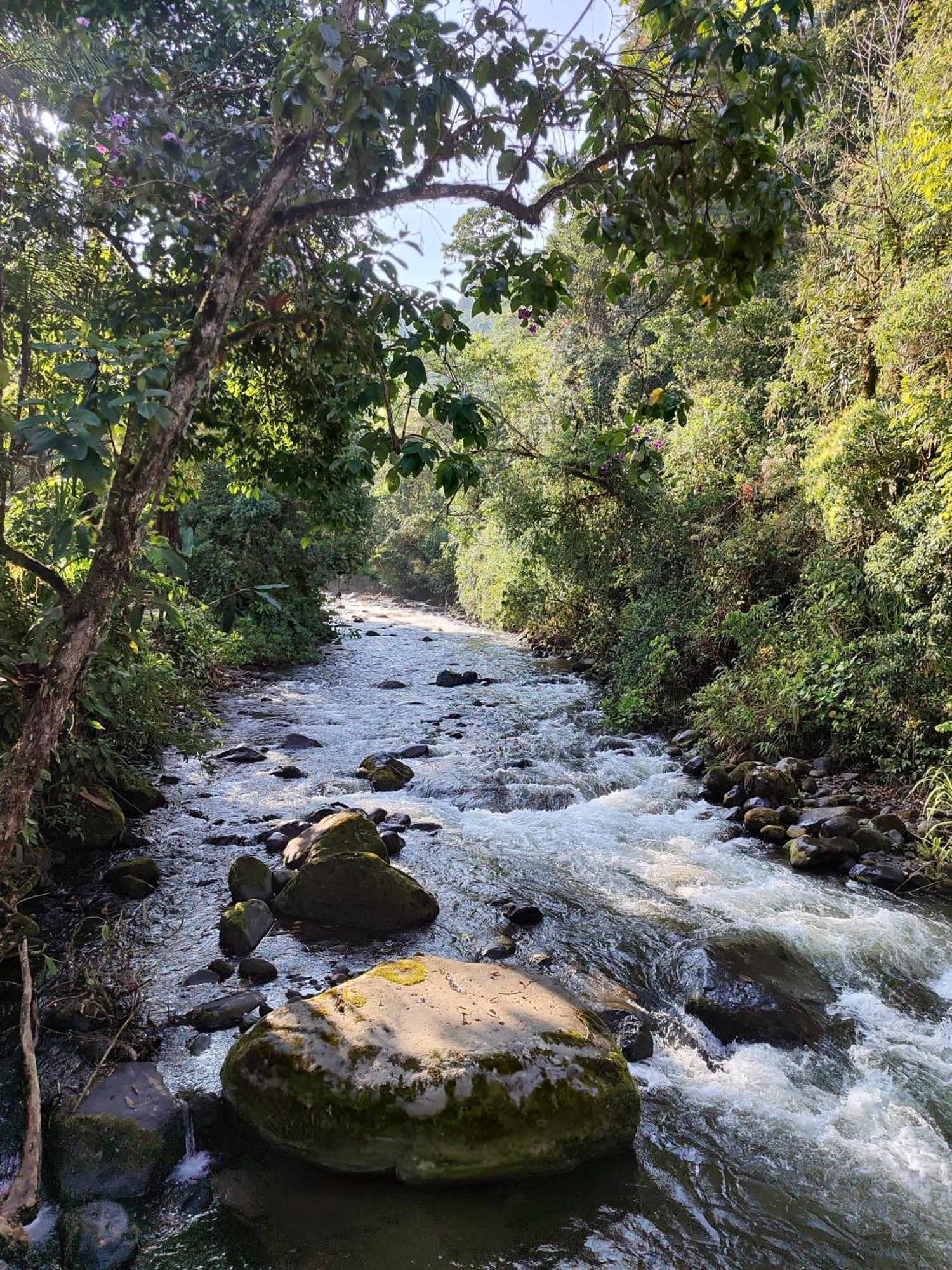 Mindo Garden Lodge And Wildlife Reserve ภายนอก รูปภาพ