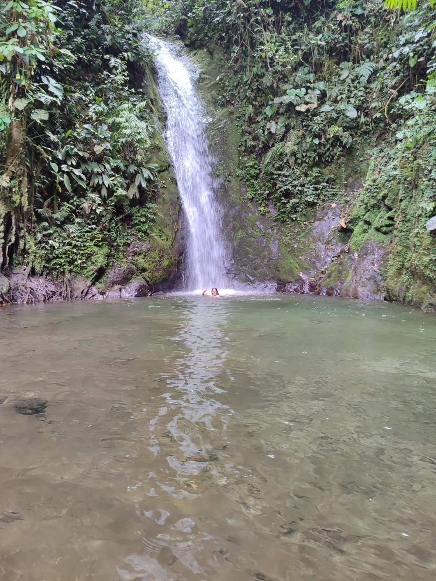 Mindo Garden Lodge And Wildlife Reserve ภายนอก รูปภาพ