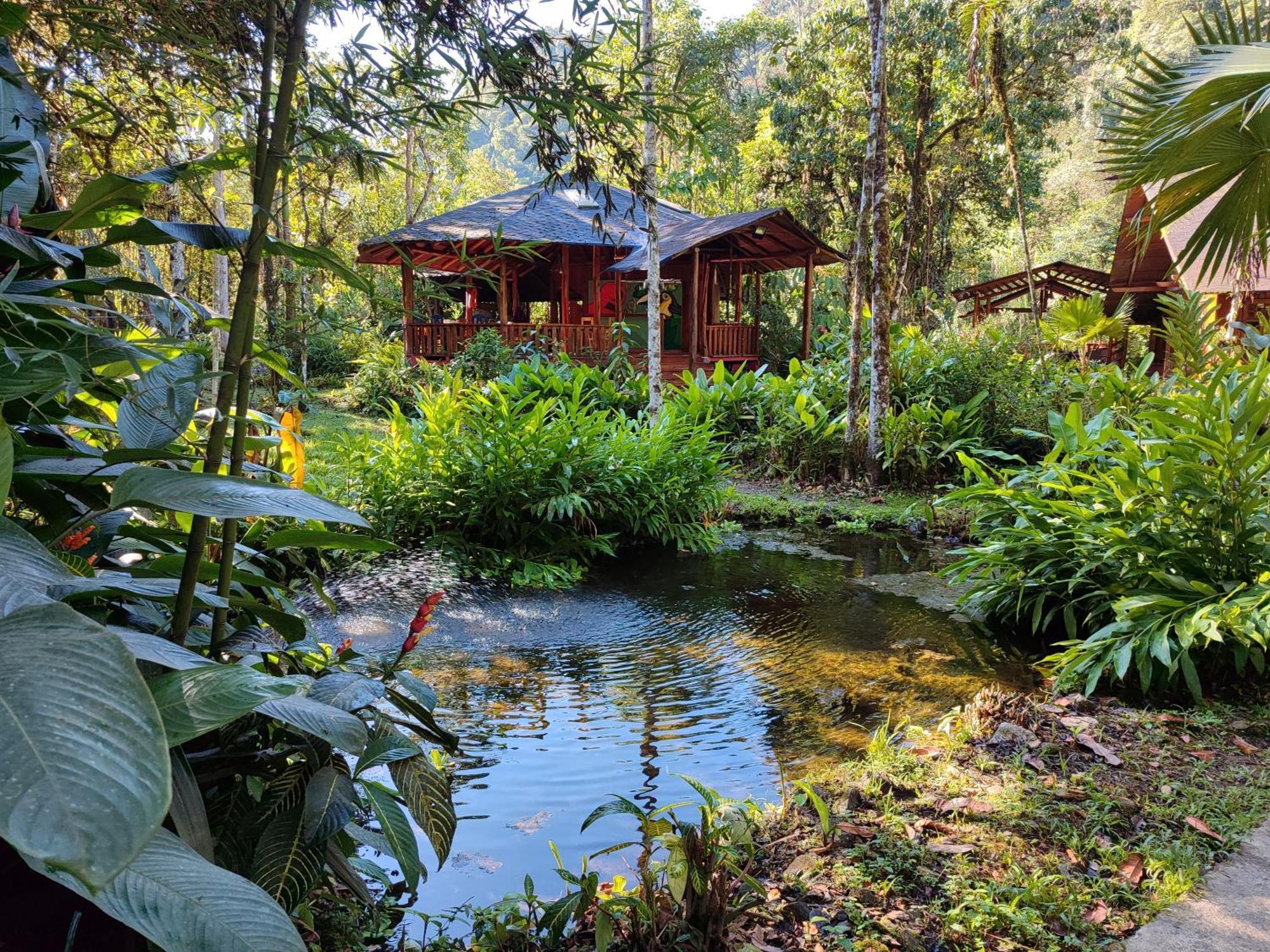 Mindo Garden Lodge And Wildlife Reserve ภายนอก รูปภาพ