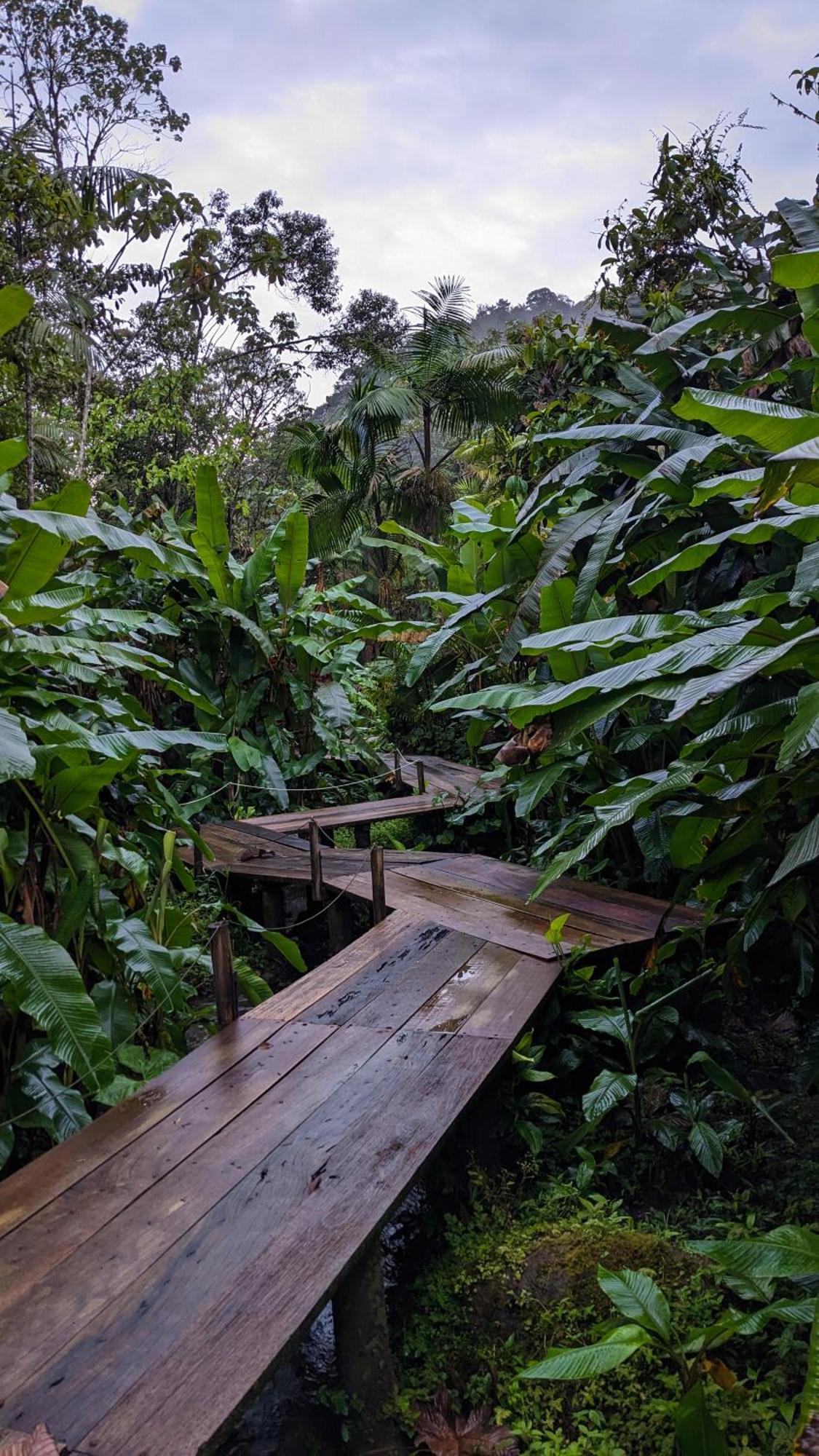 Mindo Garden Lodge And Wildlife Reserve ภายนอก รูปภาพ