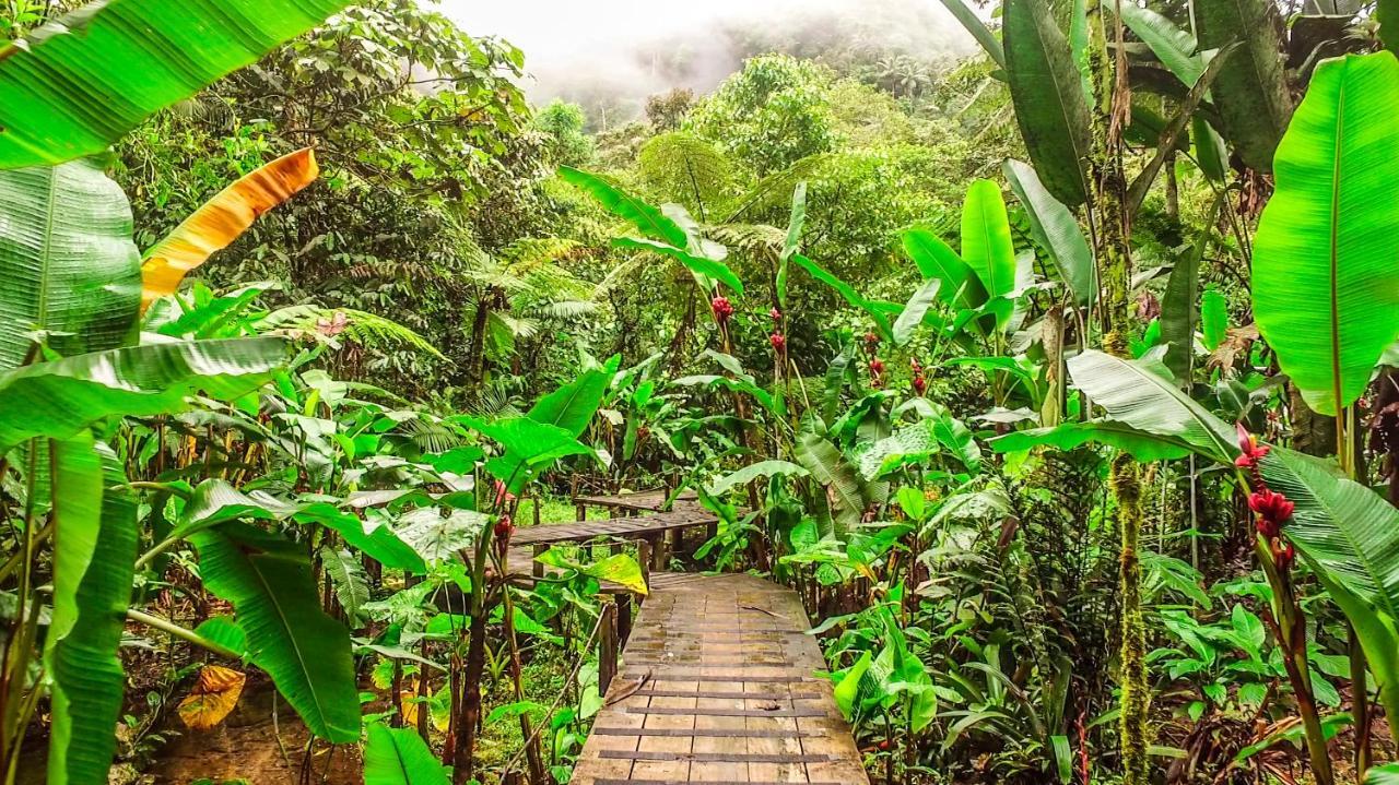 Mindo Garden Lodge And Wildlife Reserve ภายนอก รูปภาพ